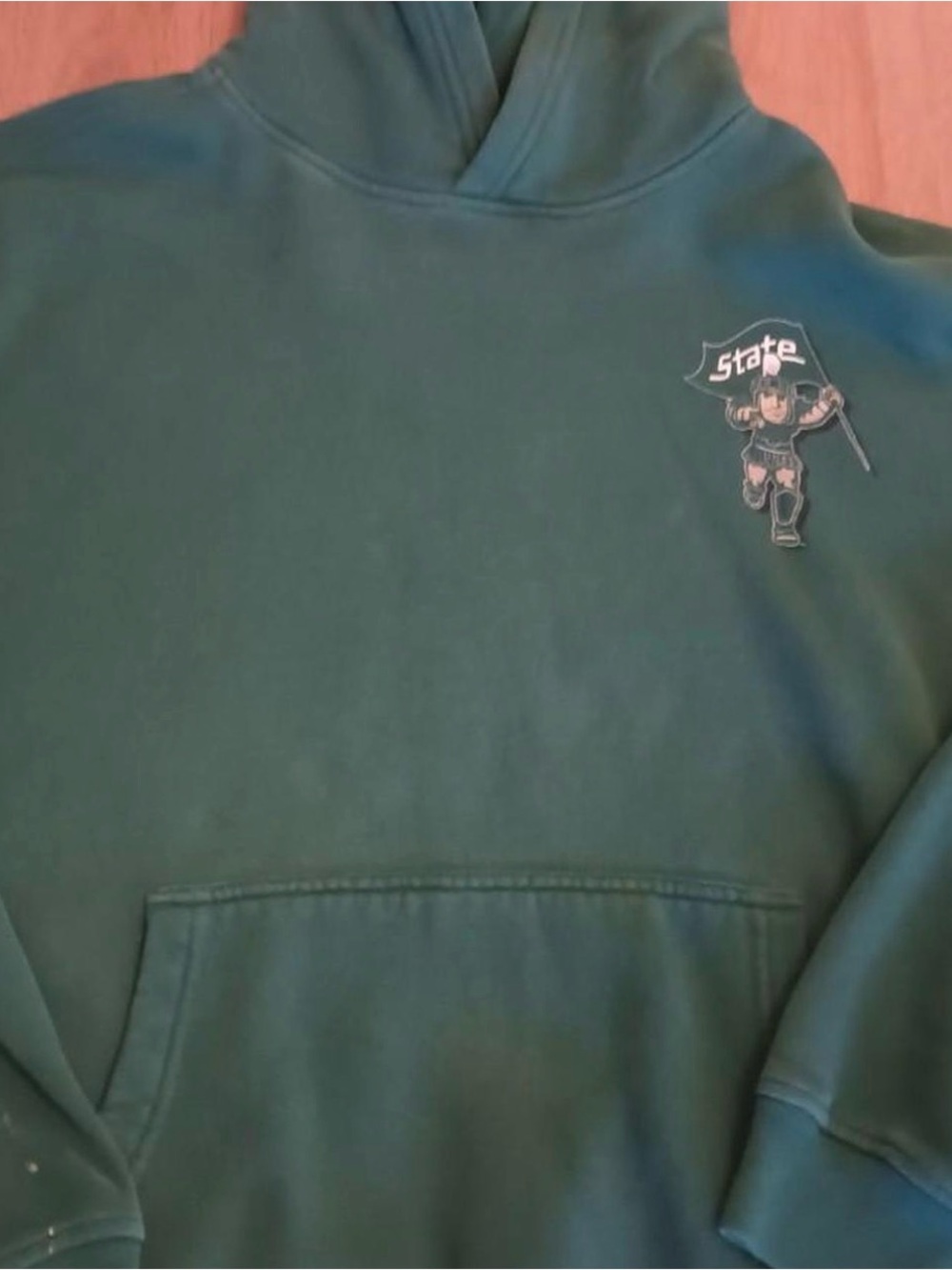Hollister Michigan State University Boxy Graphic Hoodie | Size: Medium (M)